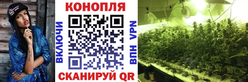 Наркошоп купить Бошки Шишки  СК  Меф мяу мяу  COCAIN  Волхов