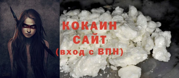гашик Арсеньев