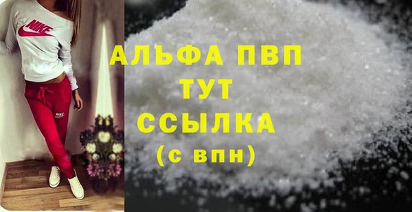 гашик Арсеньев