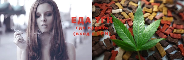 гашик Арсеньев