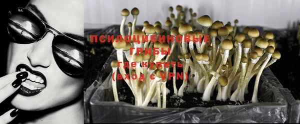 ешки Армянск