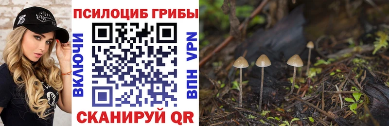 Псилоцибиновые грибы ЛСД  Купить  Волхов 