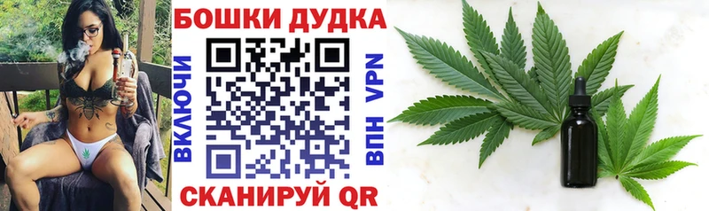 Купить закладки  Волхов  МАРИХУАНА сатива 